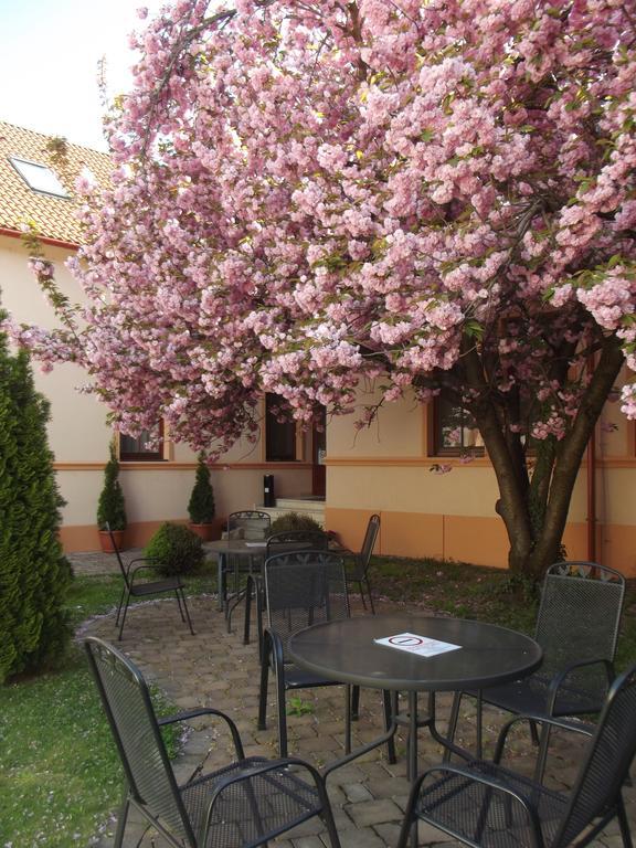 Pannon Hotel Bejelentkezes 20 Oraig, Check-In Until 20 O'Clock, Einchecken Bis 20 Uhr Mohács Dış mekan fotoğraf